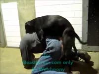 A Dog acquires raunchy fun by fucking anal of a fellow